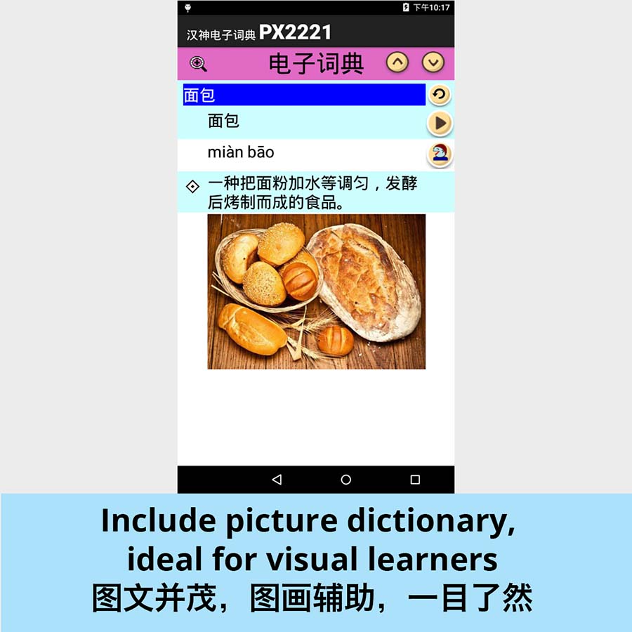 PX2221 eDictionary