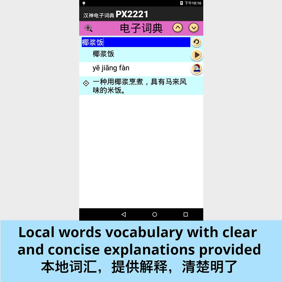 PX2221 eDictionary